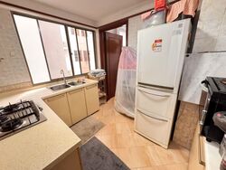 Parc Vista (D22), Condominium #588239731